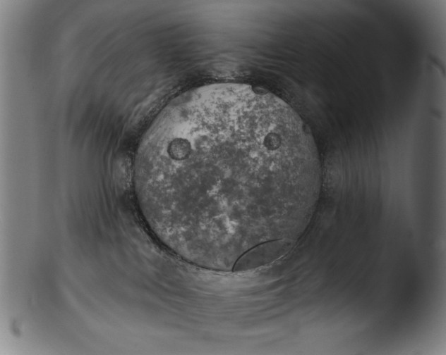 X0000103400043200809261630