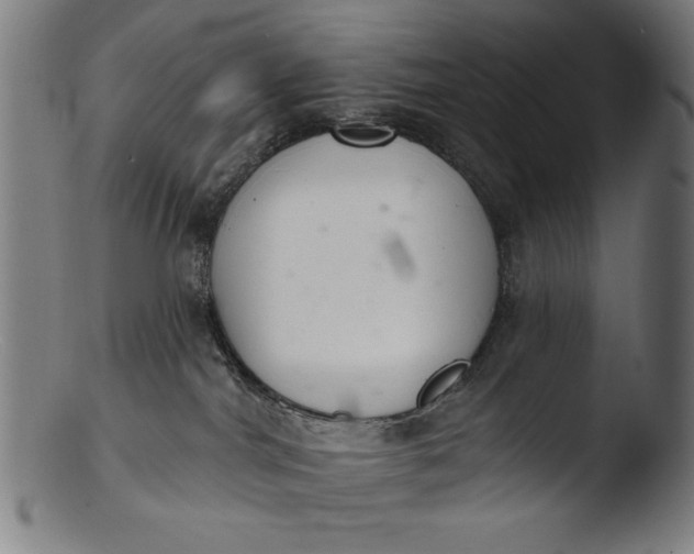 X0000103400044200809261630