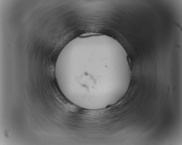 X0000103400045200809261630