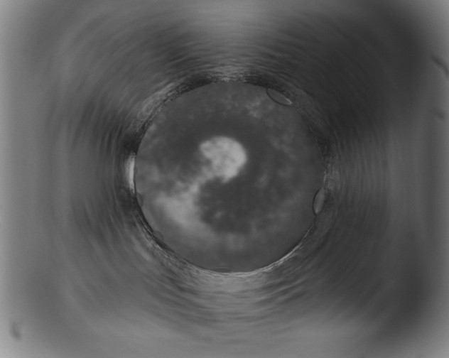 X0000103400047200809261630