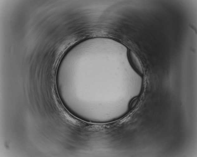 X0000103400049200809261629