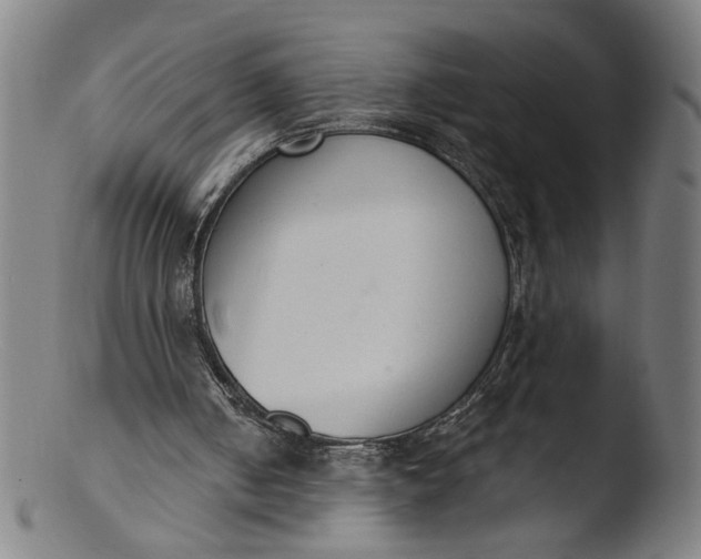 X0000103400050200809261629