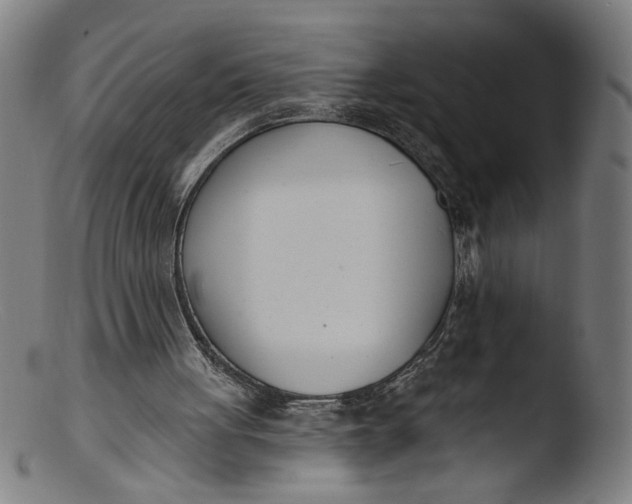 X0000103400051200809261629