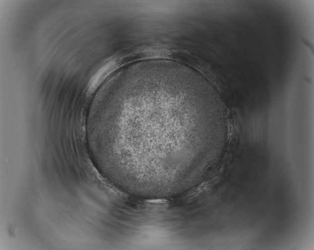 X0000103400053200809261629