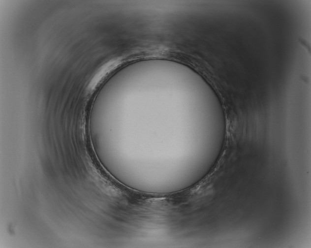 X0000103400054200809261629