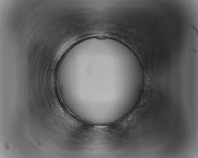 X0000103400055200809261629