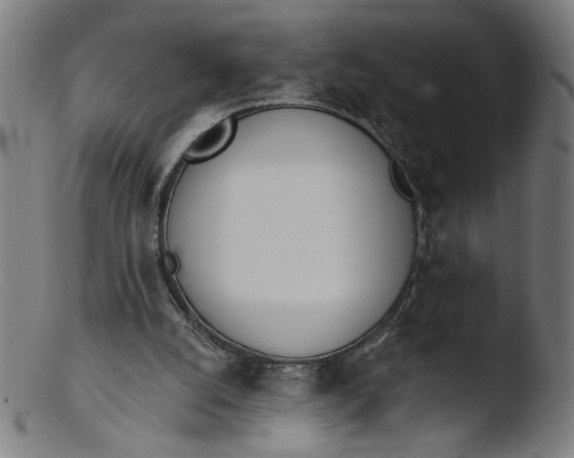 X0000103400056200809261629