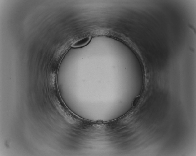 X0000103400057200809261629