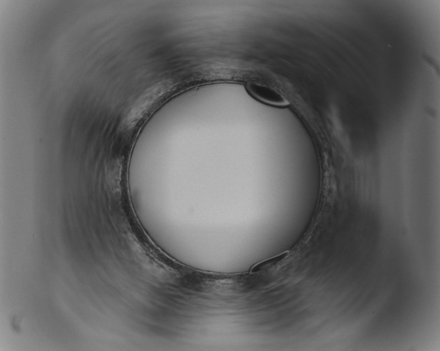 X0000103400058200809261629