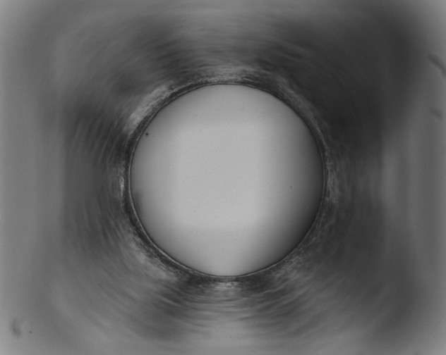 X0000103400059200809261629