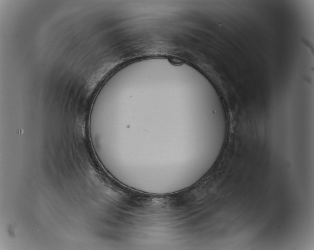 X0000103400060200809261629