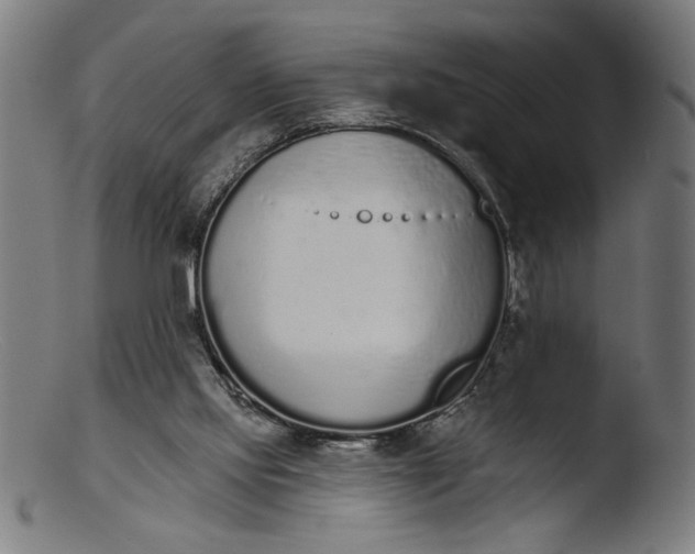 X0000103400061200809261629