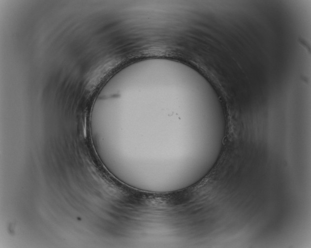 X0000103400062200809261629