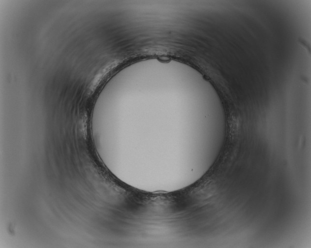 X0000103400064200809261629