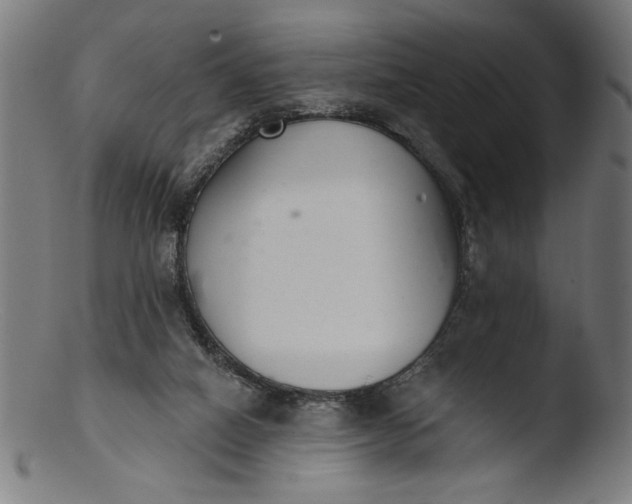 X0000103400066200809261629