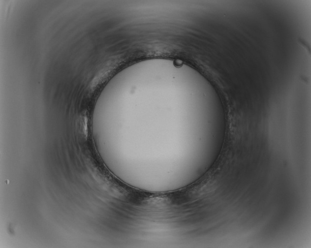 X0000103400067200809261629