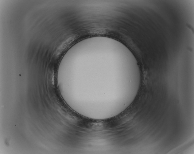 X0000103400068200809261629