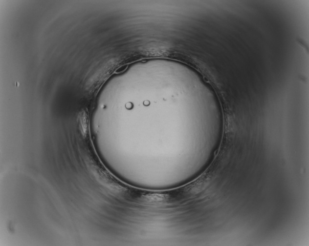 X0000103400069200809261629