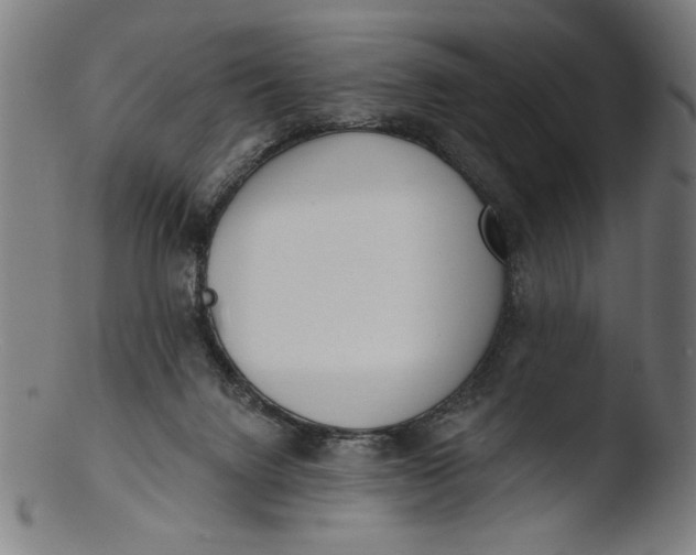 X0000103400072200809261629