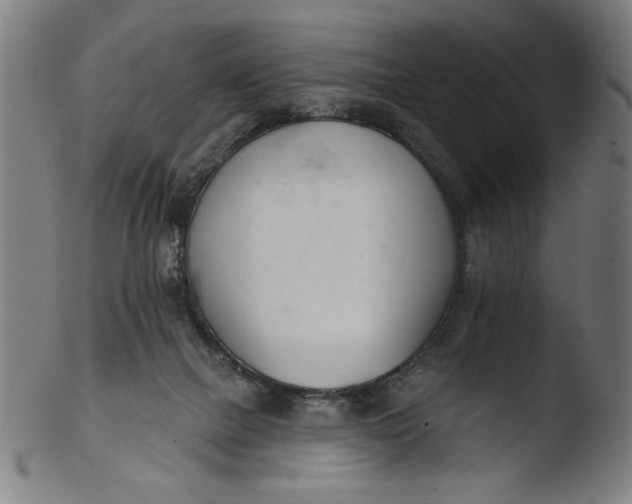 X0000103400073200809261629