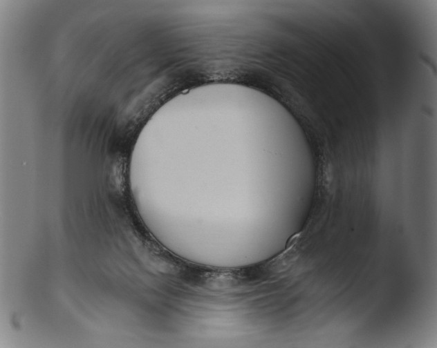 X0000103400074200809261629