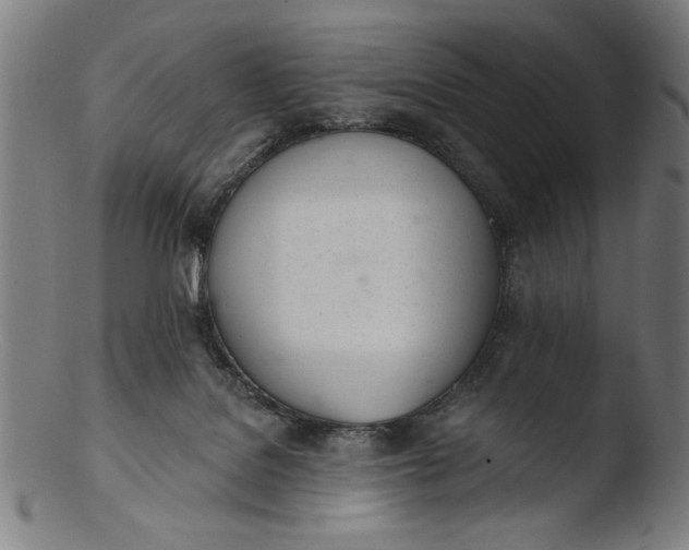 X0000103400076200809261629