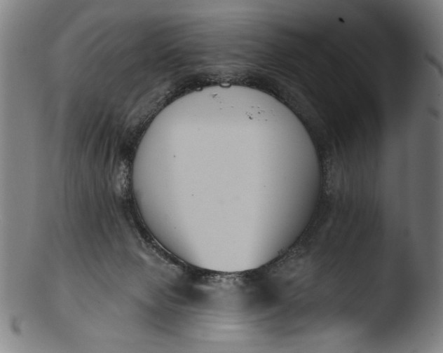 X0000103400077200809261629