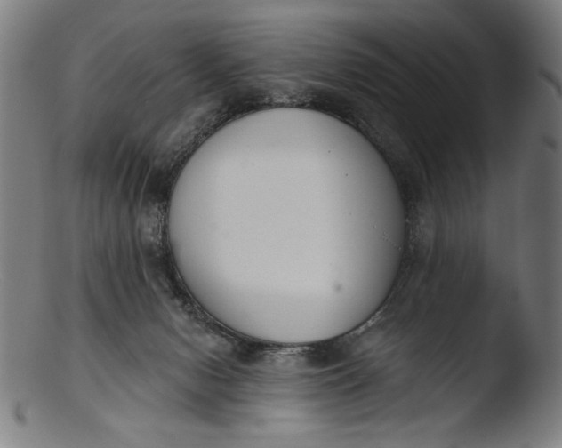 X0000103400078200809261629