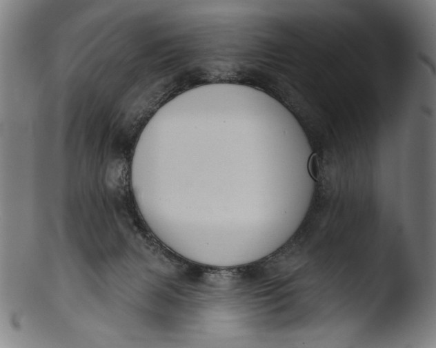 X0000103400079200809261629