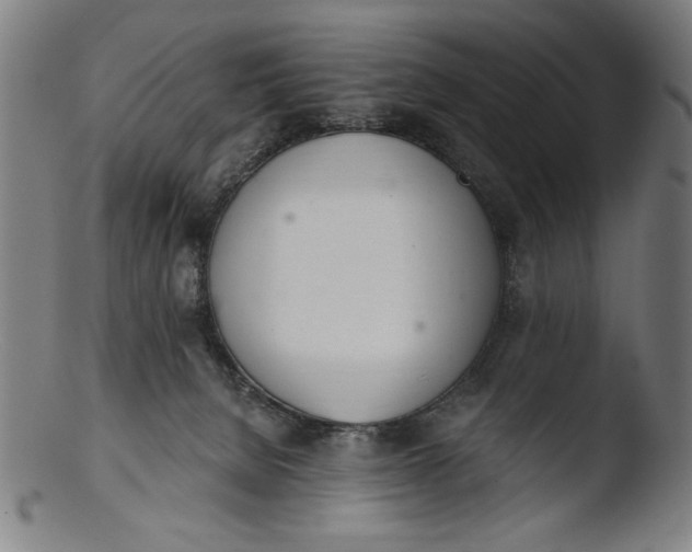 X0000103400080200809261630