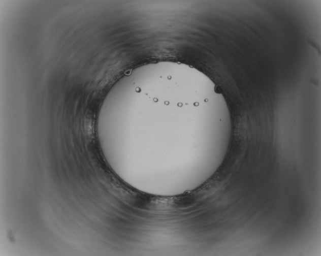 X0000103400084200809261630