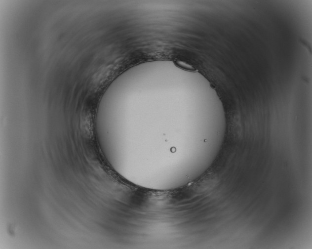 X0000103400088200809261630