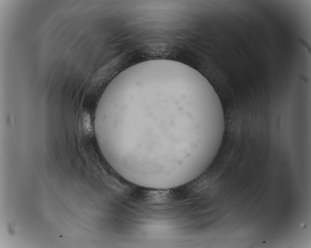 X0000103400089200809261630