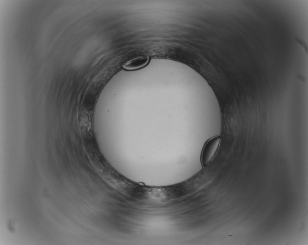 X0000103400091200809261630