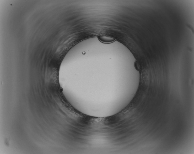 X0000103400092200809261630