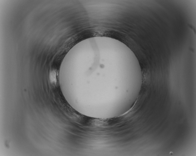 X0000103400094200809261630