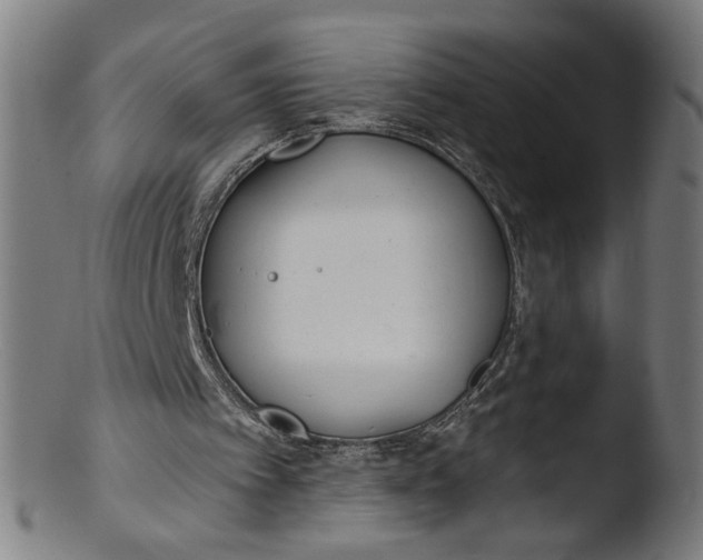 X0000103400097200809261629