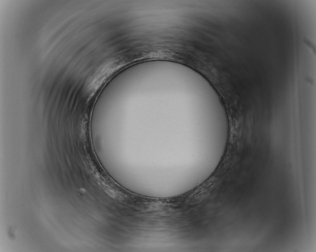 X0000103400098200809261629