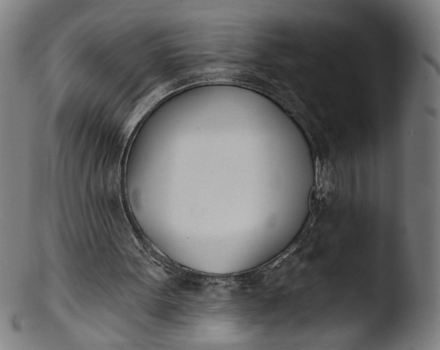 X0000103400099200809261629