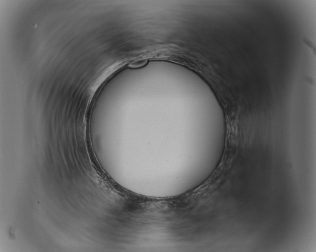 X0000103400100200809261629