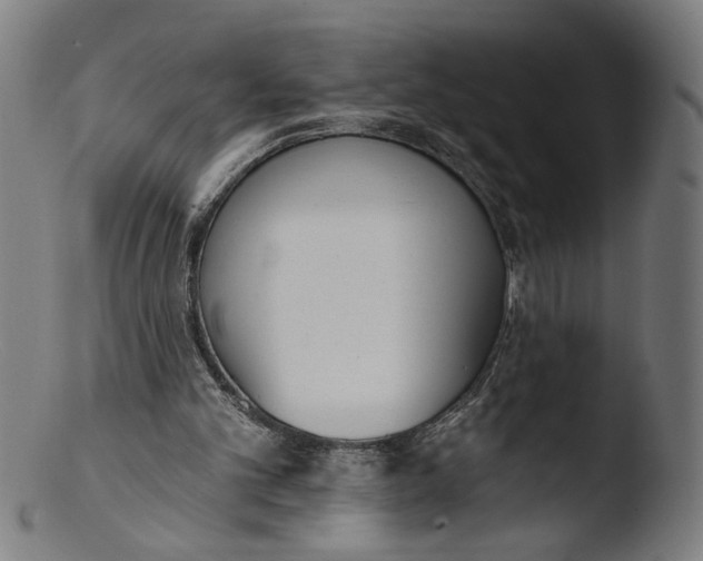 X0000103400101200809261629