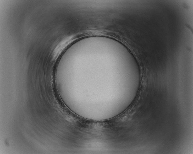 X0000103400103200809261629