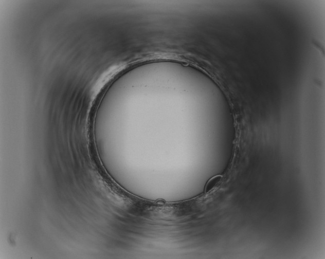 X0000103400104200809261629