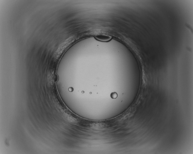 X0000103400105200809261629