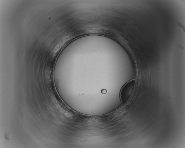 X0000103400106200809261629