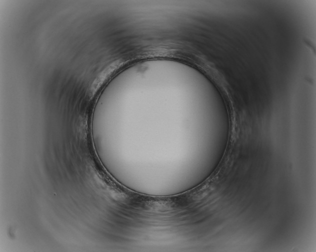 X0000103400107200809261629