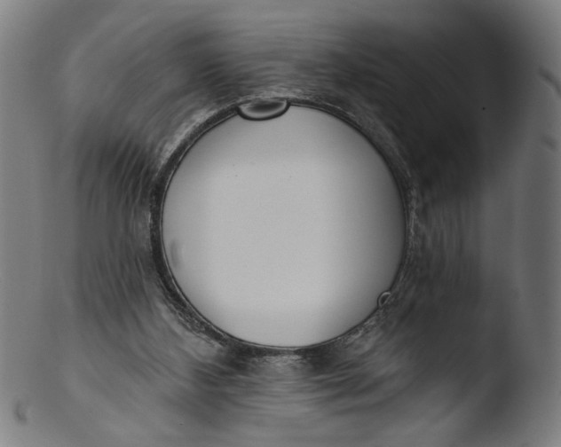 X0000103400108200809261629