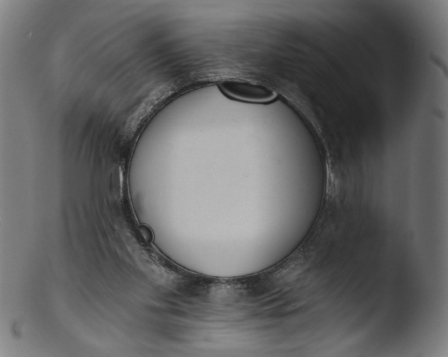 X0000103400109200809261629