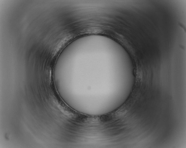 X0000103400110200809261629