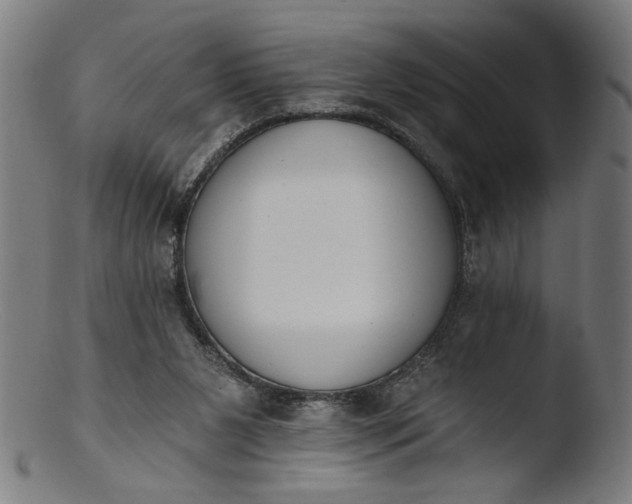 X0000103400111200809261629